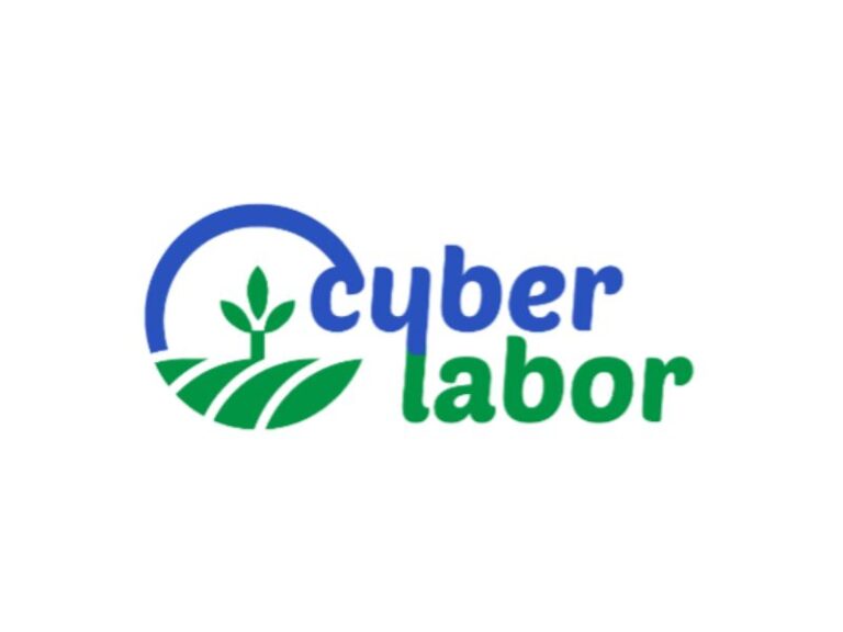 Merve Bozdemir Akçil / Cyberlabor
