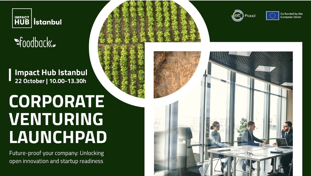 Corporate Venturing Launchpad 2024